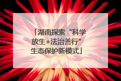 湖南探索“科学放生+法治善行”生态保护新模式
