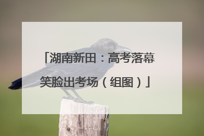 湖南新田：高考落幕 笑脸出考场（组图）