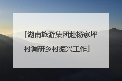 湖南旅游集团赴杨家坪村调研乡村振兴工作