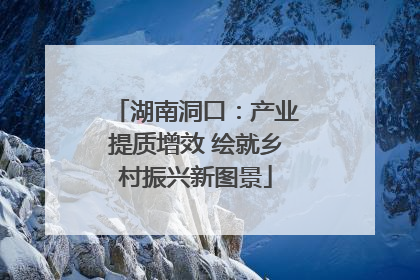 湖南洞口：产业提质增效 绘就乡村振兴新图景