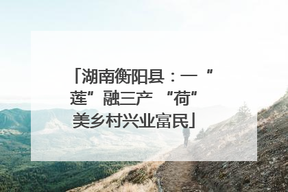 湖南衡阳县：一“莲”融三产 “荷”美乡村兴业富民