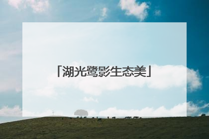 湖光鹭影生态美