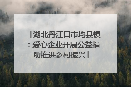 湖北丹江口市均县镇：爱心企业开展公益捐助推进乡村振兴