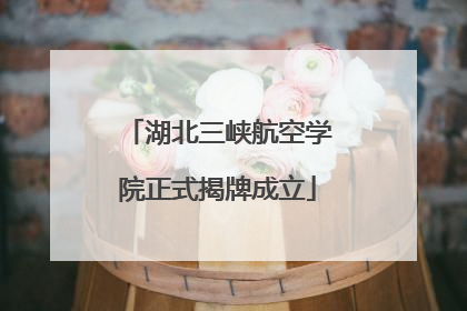 湖北三峡航空学院正式揭牌成立