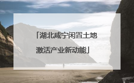湖北咸宁闲置土地激活产业新动能