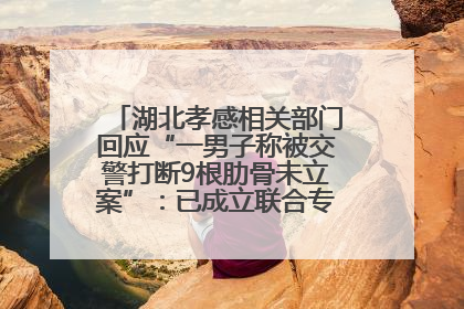 湖北孝感相关部门回应“一男子称被交警打断9根肋骨未立案”：已成立联合专班开展工作