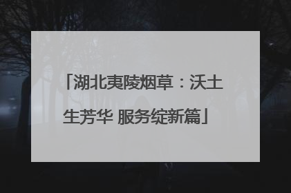 湖北夷陵烟草：沃土生芳华 服务绽新篇