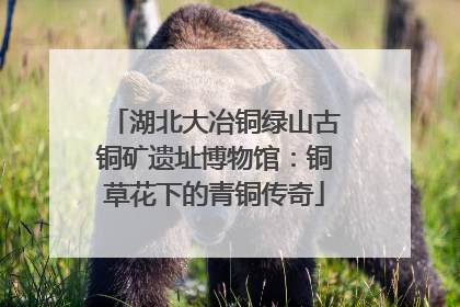 湖北大冶铜绿山古铜矿遗址博物馆：铜草花下的青铜传奇