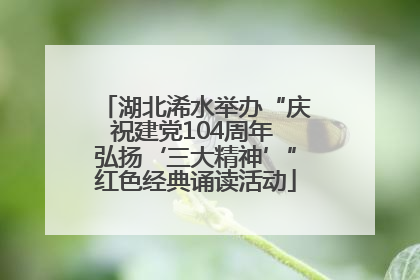 湖北浠水举办“庆祝建党104周年 弘扬‘三大精神’”红色经典诵读活动