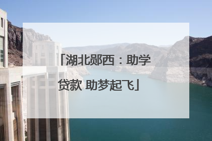 湖北郧西：助学贷款 助梦起飞