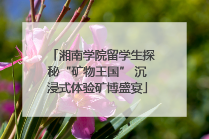 湘南学院留学生探秘“矿物王国” 沉浸式体验矿博盛宴