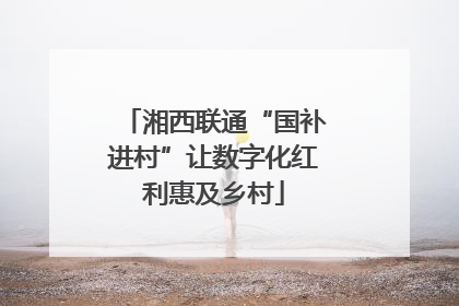 湘西联通“国补进村”让数字化红利惠及乡村