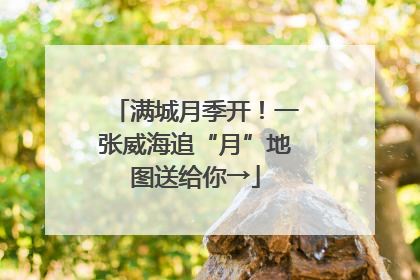 满城月季开！一张威海追“月”地图送给你→
