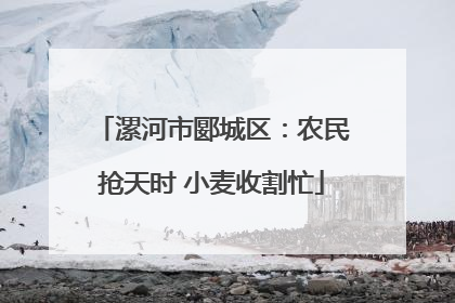 漯河市郾城区：农民抢天时 小麦收割忙