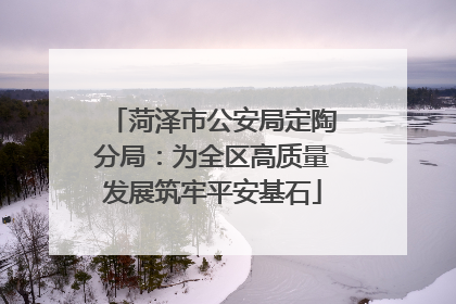 菏泽市公安局定陶分局：为全区高质量发展筑牢平安基石
