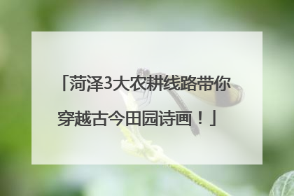 菏泽3大农耕线路带你穿越古今田园诗画！