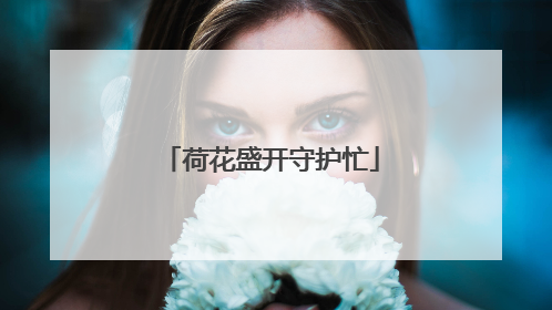 荷花盛开守护忙