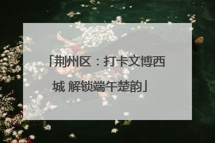 荆州区：打卡文博西城 解锁端午楚韵