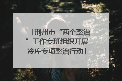荆州市“两个整治”工作专班组织开展冷库专项整治行动