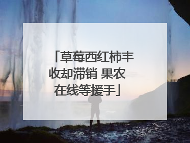 草莓西红柿丰收却滞销 果农在线等援手