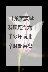 莱芜嬴城发现距今六千多年前北辛时期磨盘