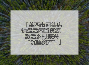 莱西市河头店镇盘活闲置资源 激活乡村振兴“沉睡资产”