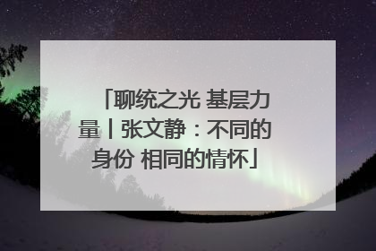 聊统之光 基层力量丨张文静：不同的身份 相同的情怀