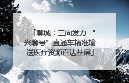 聊城：三向发力 “兴聊号”直通车精准输送医疗资源直达基层