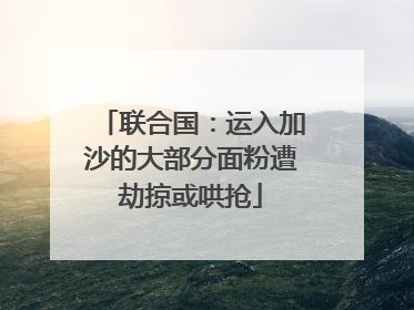 联合国：运入加沙的大部分面粉遭劫掠或哄抢