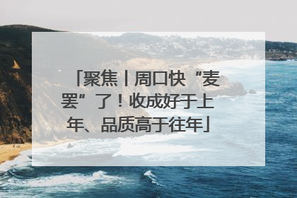 聚焦丨周口快“麦罢”了！收成好于上年、品质高于往年