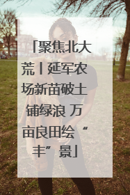 聚焦北大荒丨延军农场新苗破土铺绿浪 万亩良田绘“丰”景
