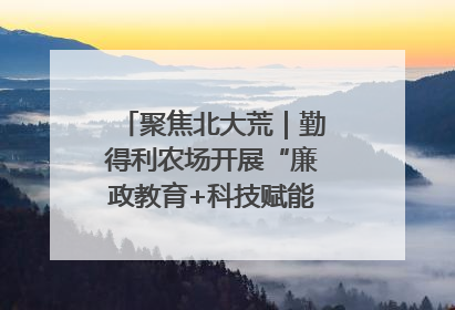 聚焦北大荒｜勤得利农场开展“廉政教育+科技赋能”主题党日活动