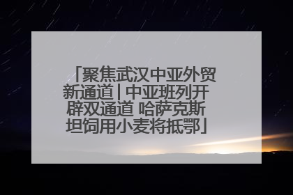 聚焦武汉中亚外贸新通道│中亚班列开辟双通道 哈萨克斯坦饲用小麦将抵鄂
