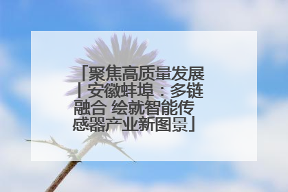 聚焦高质量发展丨安徽蚌埠：多链融合 绘就智能传感器产业新图景