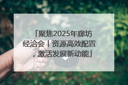 聚焦2025年廊坊经洽会丨资源高效配置，激活发展新动能