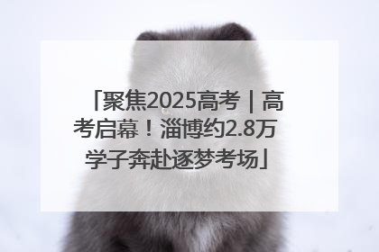 聚焦2025高考｜高考启幕！淄博约2.8万学子奔赴逐梦考场