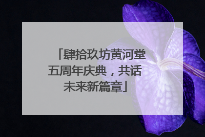 肆拾玖坊黄河堂五周年庆典，共话未来新篇章