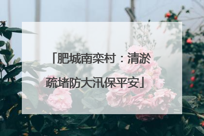 肥城南栾村：清淤疏堵防大汛保平安