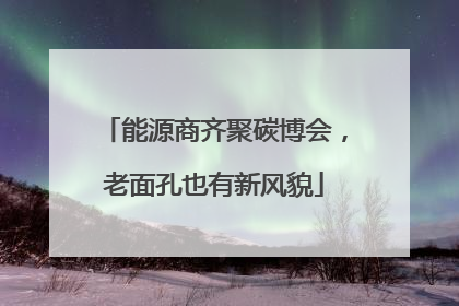 能源商齐聚碳博会，老面孔也有新风貌