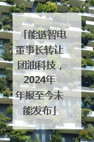 能链智电董事长转让团油科技，2024年年报至今未能发布