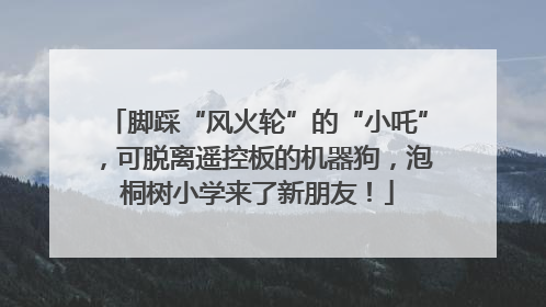 脚踩“风火轮”的“小吒”，可脱离遥控板的机器狗，泡桐树小学来了新朋友！