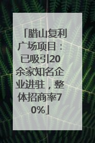 腊山复利广场项目：已吸引20余家知名企业进驻，整体招商率70%