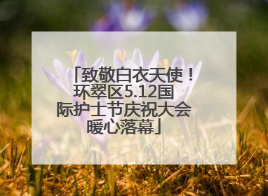 致敬白衣天使！环翠区5.12国际护士节庆祝大会暖心落幕