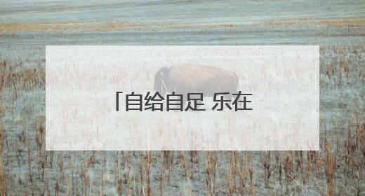 自给自足 乐在其中 城市里的空中“田园梦”