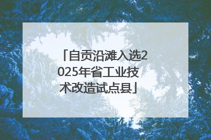 自贡沿滩入选2025年省工业技术改造试点县