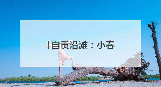 自贡沿滩：小春收获新突破 总产量近3.5万吨