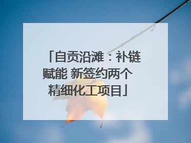自贡沿滩：补链赋能 新签约两个精细化工项目