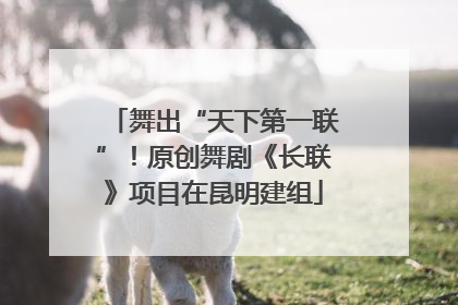 舞出“天下第一联”！原创舞剧《长联》项目在昆明建组