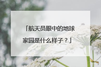 航天员眼中的地球家园是什么样子？