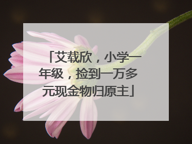 艾载欣，小学一年级，捡到一万多元现金物归原主
